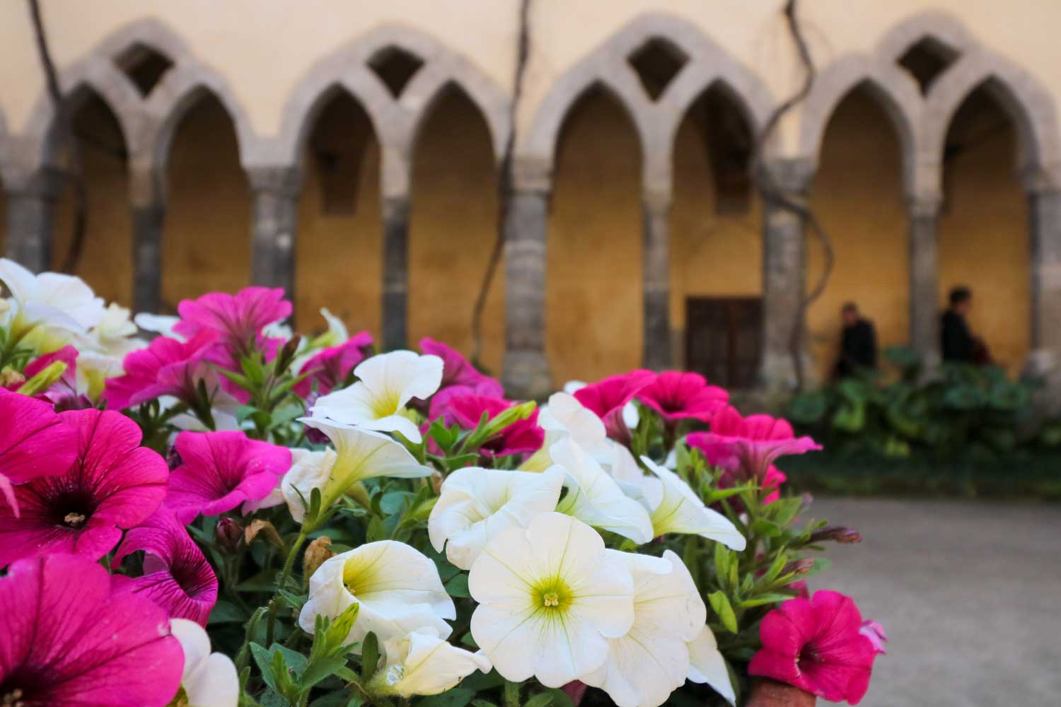 visitar sorrento en septiembre